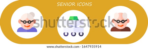 Senior Icon Set 3 Flat Senior Stock Vector (Royalty Free) 1647935914 ...