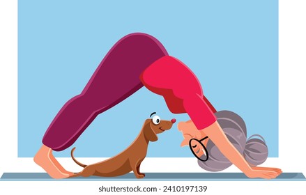 
Senior Lady in Down Dog Yoga Position Vector Cartoon Illustration. Happy granny keeping a healthy active lifestyle with her pet
