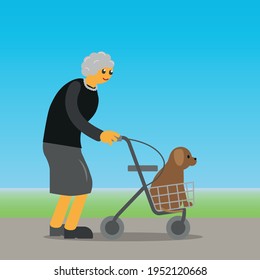 Senior lady taking a walk with her dog and walking rollator.