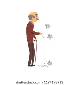 Senior man feeding doves, elderly man cartoon character leading an active lifestyle vector Illustration on a white background