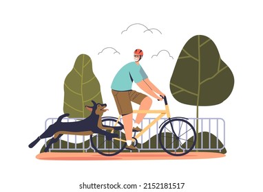 Senior man walk dog while riding bicycle. Elderly male active outdoors on bike with happy pet. Old people lifestyle concept. Cartoon flat vector illustration