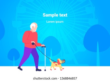senior man walking with dog in muzzle best friend concept grandfather and animal pet having fun city park ferris wheel background full length horizontal copy space flat