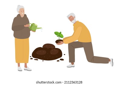 Senior people plant sprout. Man going to put sprout in ground, woman standing with awatering can. Gardening, growing flowers hobby Cartoon flat vector illustration. Agricultural work.
