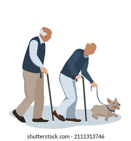 Senior two gentleman with silver hair walking by can with dog .Old age couple man talking. Elderly couple walking by stick.Grandfather talking together with friend be happy.Vector isolate flat design.