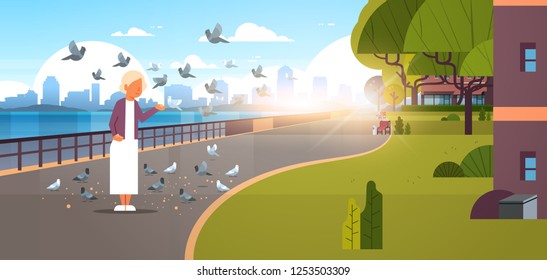 senior woman feeding flock of pigeon modern city quay urban cityscape skyscrapers background horizontal banner flat