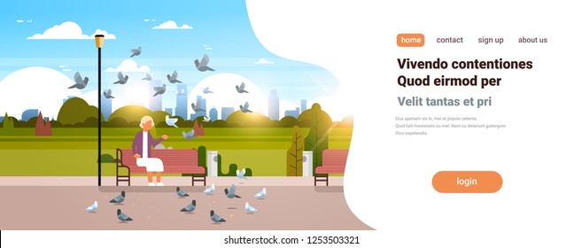 senior woman feeding flock of pigeon sitting wooden bench urban city park cityscape background horizontal copy space flat