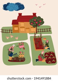 Senior Woman watering flowers. Old Woman cultivating garden. Female hobby gardening in house yard. Farmer grow eco tomatoes and radishes in Beds. House in lawn with apple tree. 