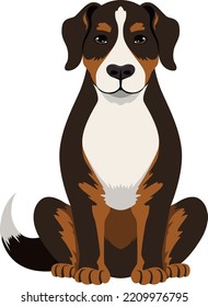 Sennenhund icon. Swiss mountain dog. Pure breed pet