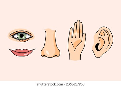 Sense organs for feeling concept  Hands ears nose lips   eyes for vision touching listening flavour   smell over pink background vector illustration 