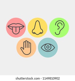 Sense Organ Images, Stock Photos & Vectors | Shutterstock