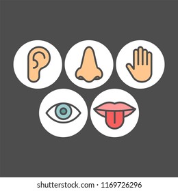 1,739 5 senses icons Images, Stock Photos & Vectors | Shutterstock