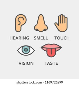 28,108 Sensory icon Images, Stock Photos & Vectors | Shutterstock