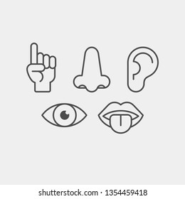 Sense organs flat vector icons. Hearing, smell, touch, vision, taste flat vector icons