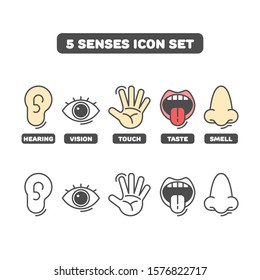 Sense organs flat vector icons. Taste, vision, hearing, smell, touch flat vector icons