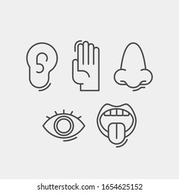 Sense organs flat vector icons. Taste, smell, touch, vision, hearing flat vector icons