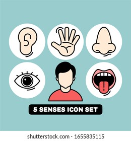 Sense organs flat vector icons. Taste, smell, touch, vision, hearing flat vector icons