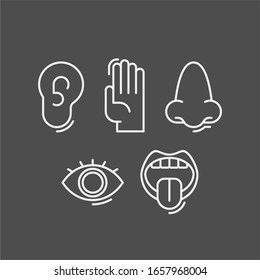 Sense organs flat vector icons. Taste, smell, touch, vision, hearing flat vector icons