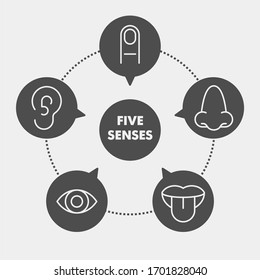 Sense organs flat vector icons. Taste, smell, touch, vision, hearing flat vector icons