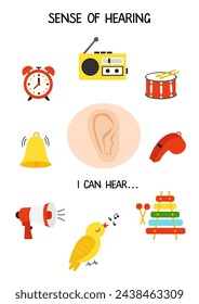 Sense organs. Sense of Hearing. Vector illustration. Worksheet for kids.