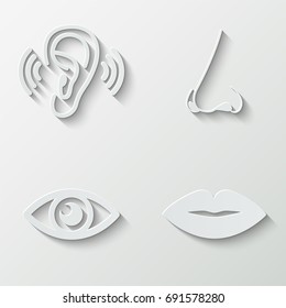 The sense organs icons - paper  set