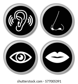 Sense Organs Icons Vector Stickers Set Stock Vector (Royalty Free ...