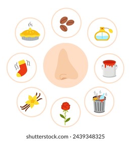 Sense organs poster. Vector illustration. Sense of smell.