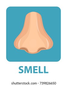 Sense of smell icon flat style. Nose. Isolated on white background. Vector illustration