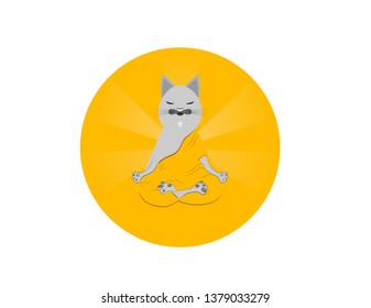 Sensei gray cat 