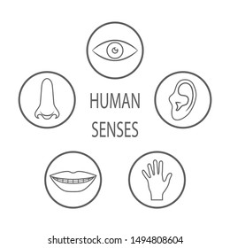 Icon Set Five Human Senses Vision Stock Vector (Royalty Free) 714529117