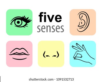 Senses Icons Five Human Illustrative Senses Stock Vector (Royalty Free ...