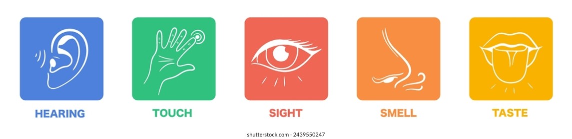 Senses line icons set. 5 five types symbols. Vector illustration set