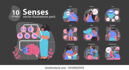Empfindungen gesetzt. Organe und Funktionen des menschlichen Sinnesempfindens. Wechselwirkung von Geruch, Geschmack, Berührung, Sehen, Hören und Gleichgewicht. Verbindung des Zentralnervensystems. Flache Vektorgrafik.