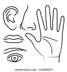 Sensory organs hand, nose, ear, mouth and eye