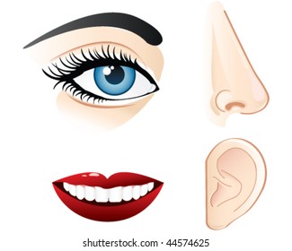 sensory perception