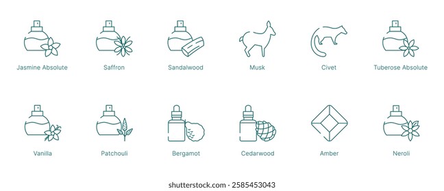 Sensual and Warm Fragrance Notes Vector Icon Set