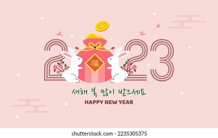 Seollal Korean new year 2023 greeting card vector design. Rabbit hugging Sebaetdon(fortune bag). Korean Translation: " Happy New Year ", The words on bag is well-being