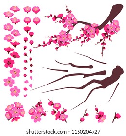 Separate elements of plum blossoming isolated on white. Branch and pink flower set. Spring floral decoration for Chinese New Year, springtime celebrations. Vector flat parts of plant for animation.