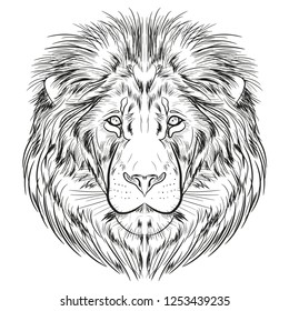 A separate image of the lion's head. Graphic image with a black line on a white background.