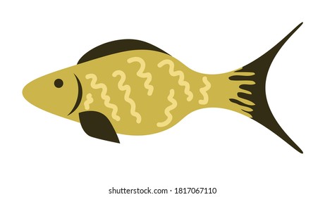 Illustration Xray Fish Vocabulary Part Body Stock Vector (Royalty Free ...