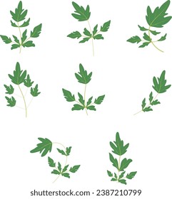 Separate twigs collection of spicy herbs. Flat style