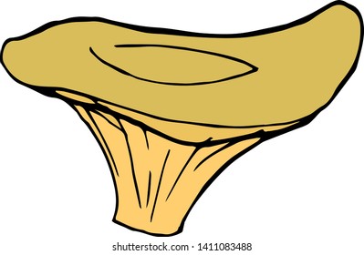 separate vector forest milk mushroom on a white background. Element for your design.