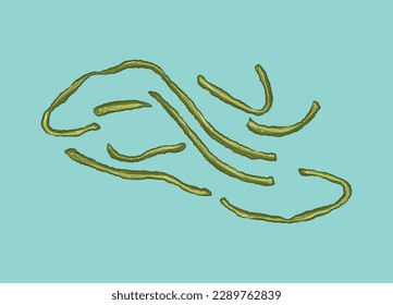 Separated shredded kelp in Taiwan food ingredient illustration