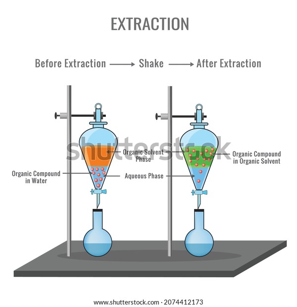 Separating funnel laboratory glassware used in\
liquid-liquid extractions to separate or partition the components\
of a mixture into two immiscible solvent phases,Chemical extraction\
of organic compound