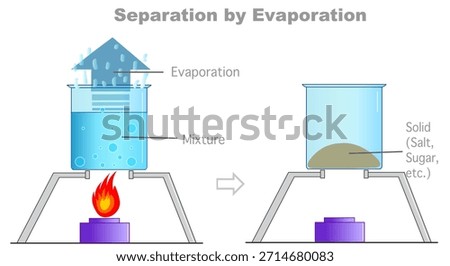 Separation by evaporation mixtures. Water and sugar or salt solution. Educational video. Vector illustration