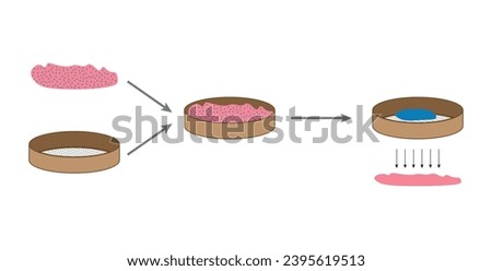 Separation mixtures with sifting diagram. Sieving filtration process. Mixture of sand and gravel. Scientific resources for teachers and students.