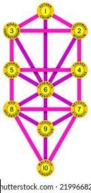 Sephirot and Tree of Life Yellow Magenta - Tree of Life with the ten Sephirot of the Hebrew Kabbalah. Each Sephirah with number, attribute, emanation and Hebrew name.