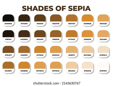Sepia color palette with RGB HEX color codes, Hex color codes, Fashion trend blue color palette, Shades of Sepia, Swatches set, Brown swatches set