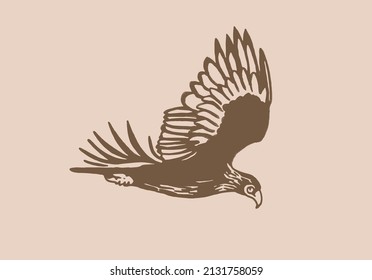 Sepia-Illustration, Adler-fliegendes grafisches Zeichnen