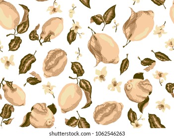 Sepia seamless pattern with lemon fruits and citrus blooming flowers, There are a lot of elements such as fruits, leaves and flowers in different forms. 