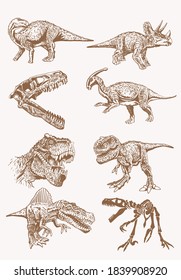 Sepia set of dinosaurs, retro background, vector illustration